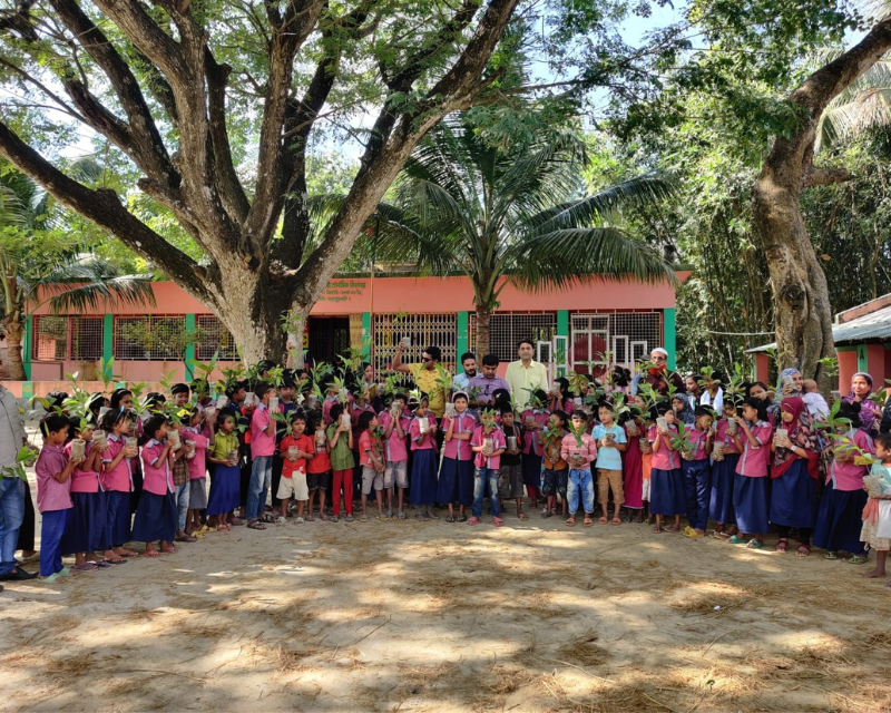 Regional Alignment Movement